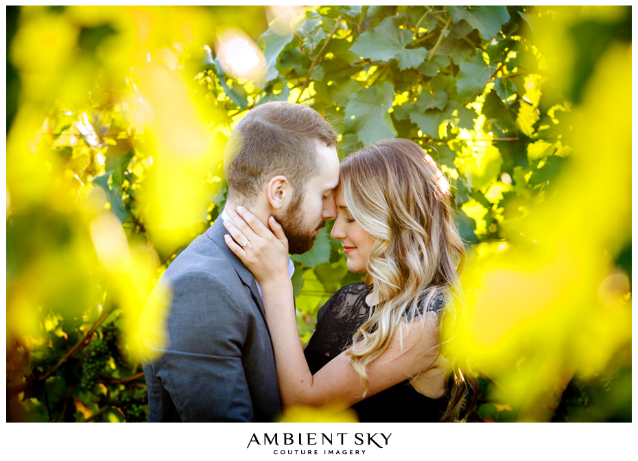 Portland Engagement photograph in a vineyard