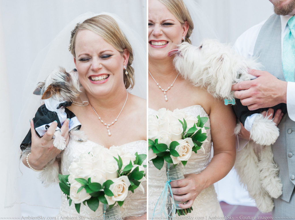 silly dog wedding photos