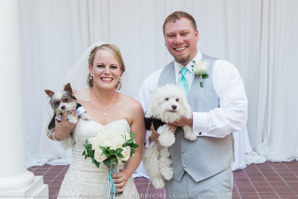 Dogs with bride and groom