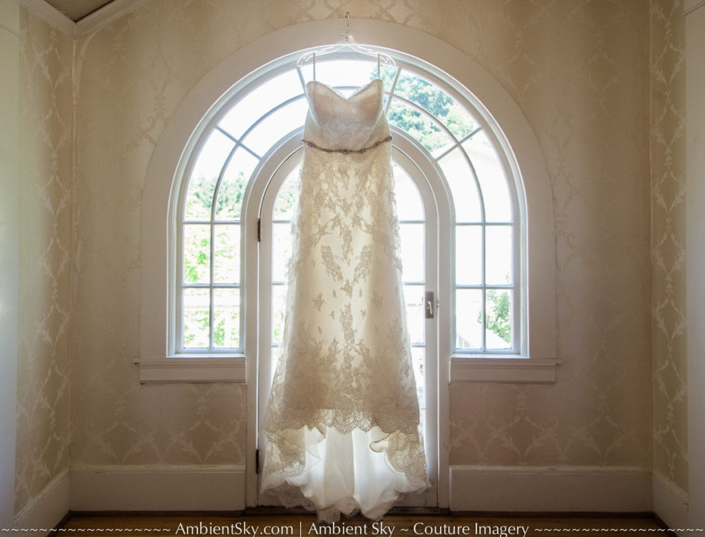 Wedding Dress Photo in Arched Window