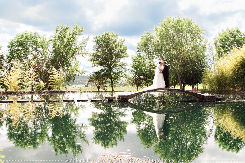 Water Oasis Wedding Photography