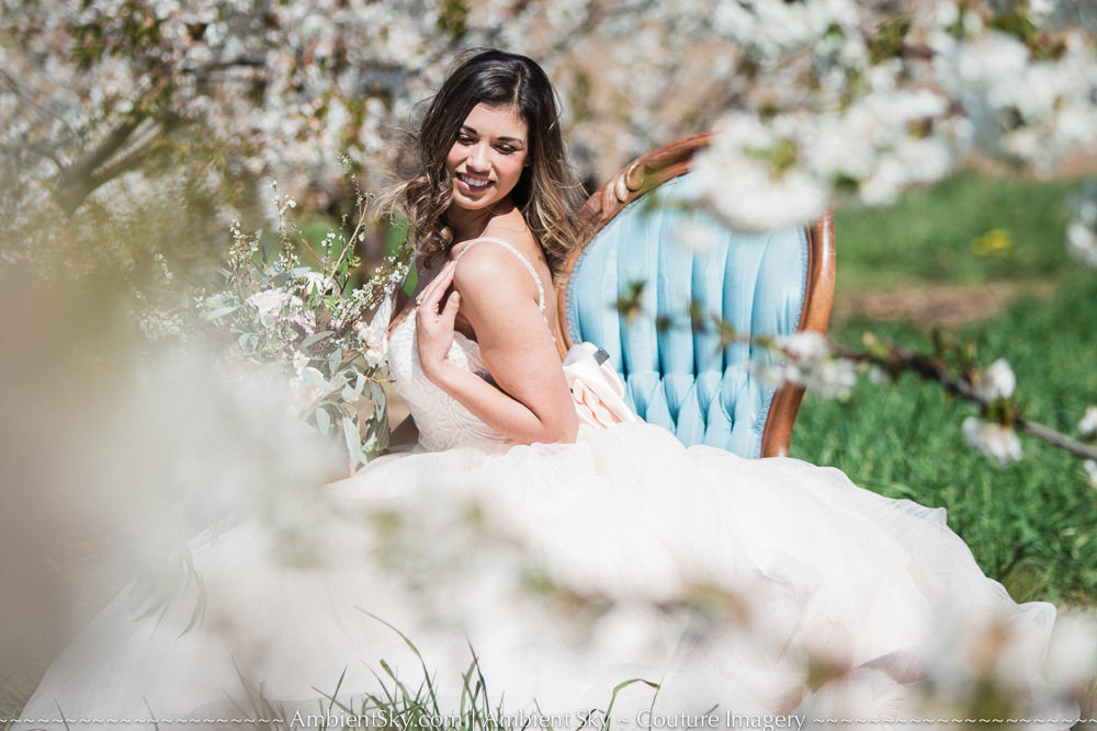 Perryhill Farm Wedding Bride with floral blossoms in orchard in vintage chair