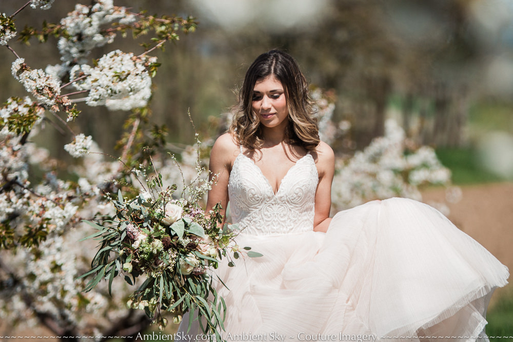 Perryhill Farm Wedding Bride with floral blossoms in orchard walking