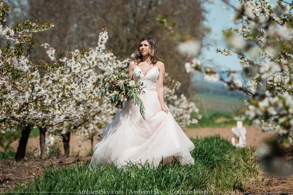 Perryhill Farm Wedding Bride with floral blossoms in orchard walking thru trees