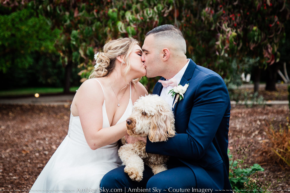 Bride and Groom with Dog on wedding day