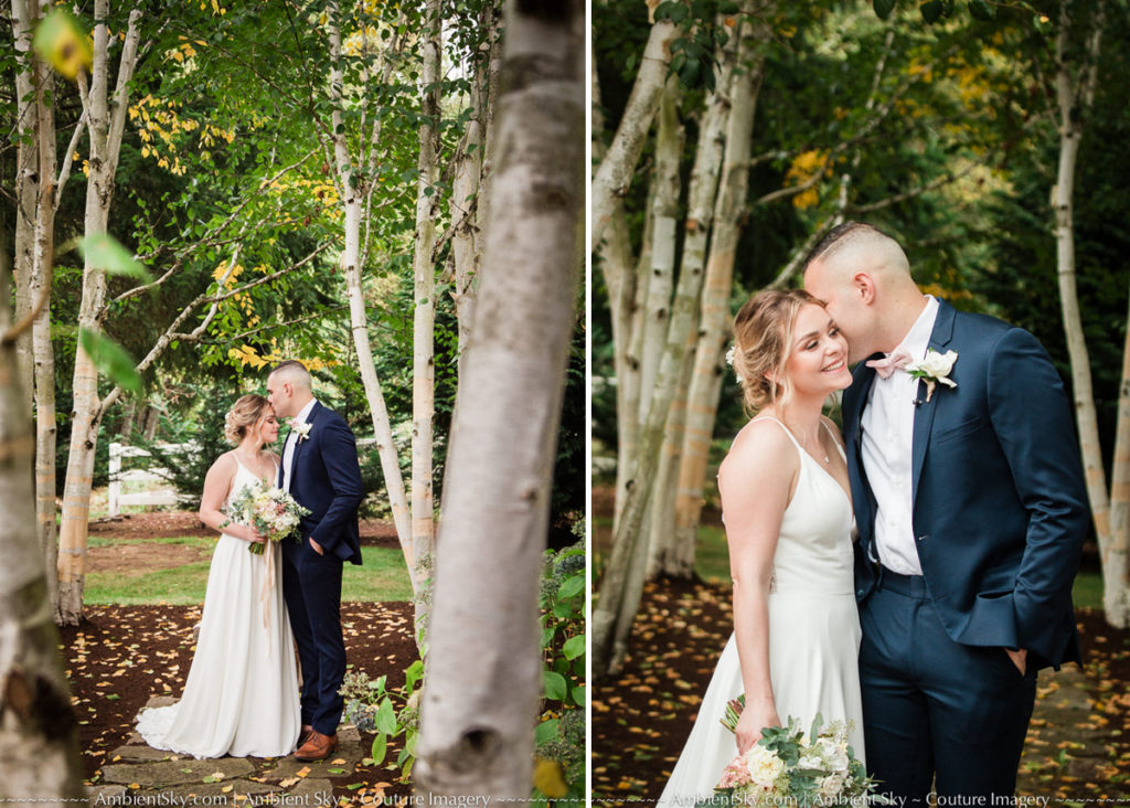 Bride and Groom birch trees wedding photos